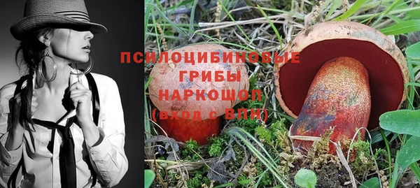 соль ск Наволоки