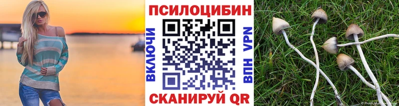 Псилоцибиновые грибы мицелий  купить наркоту  Богданович 