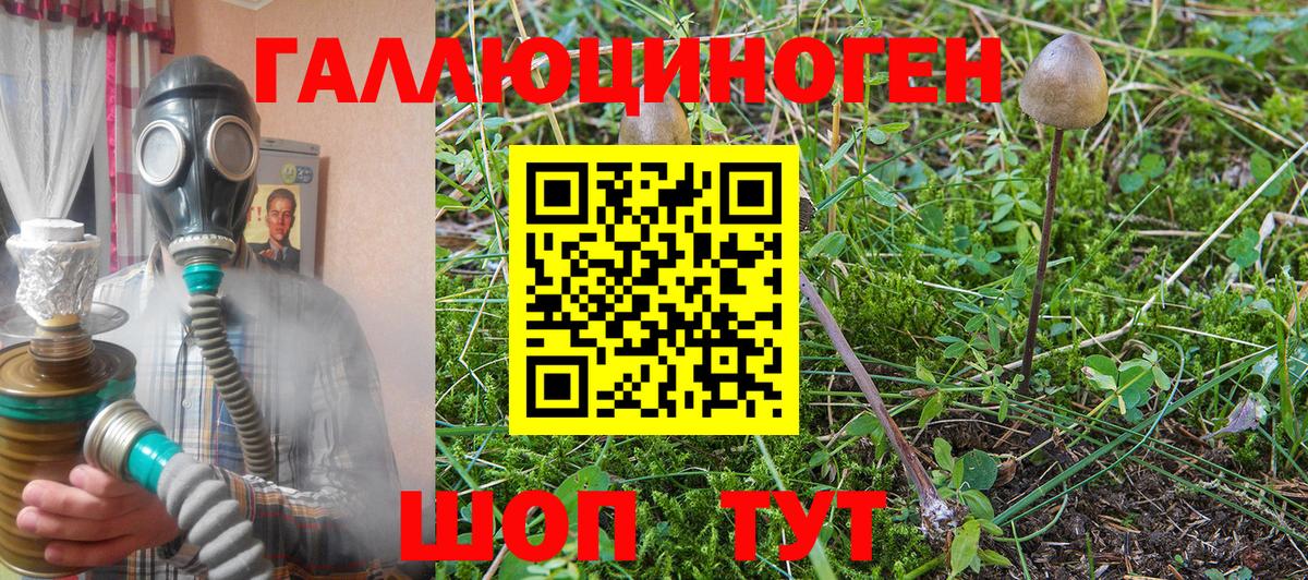 Галлюциногенные грибы Cubensis Богданович