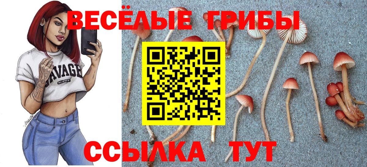 Богданович  Галлюциногенные грибы ЛСД  Вход с VPN 