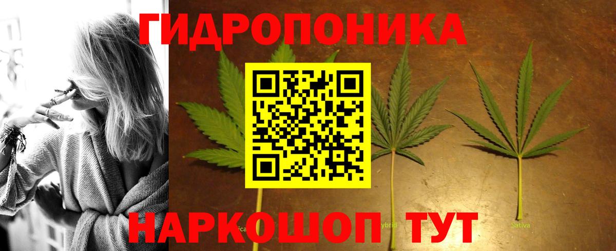 Шишки марихуана SATIVA & INDICA Богданович